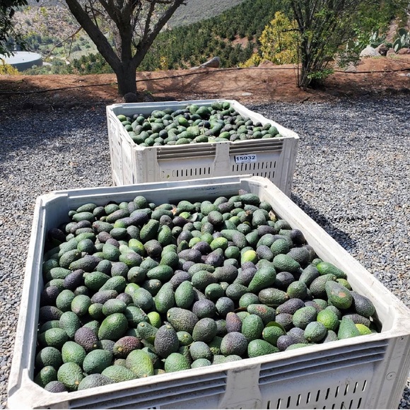 Meet your Posher, Kimberly - Picture 2 of 16